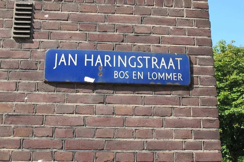 Bed and Breakfast Wild Roses Ámsterdam